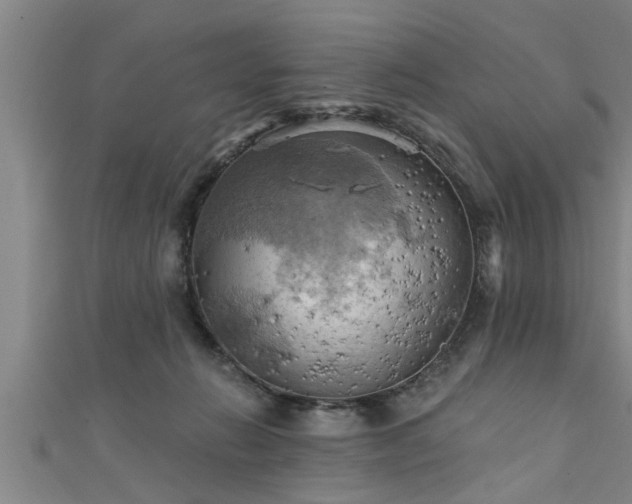 X0000111360270200907171210