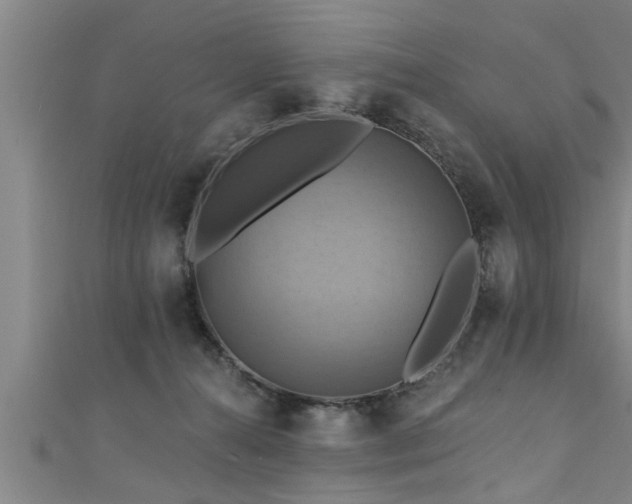 X0000111360272200907171210
