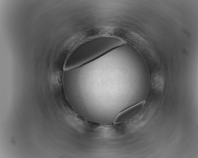 X0000111360280200907171210