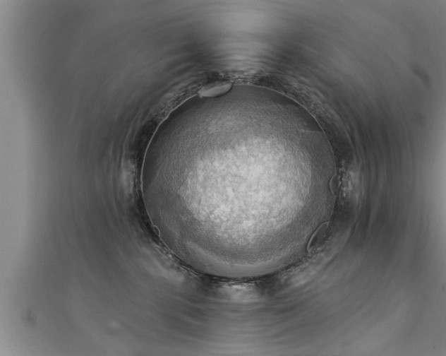 X0000111360283200907171210