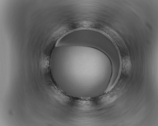 X0000111360284200907171210