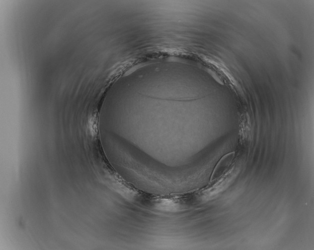X0000111360285200907171210