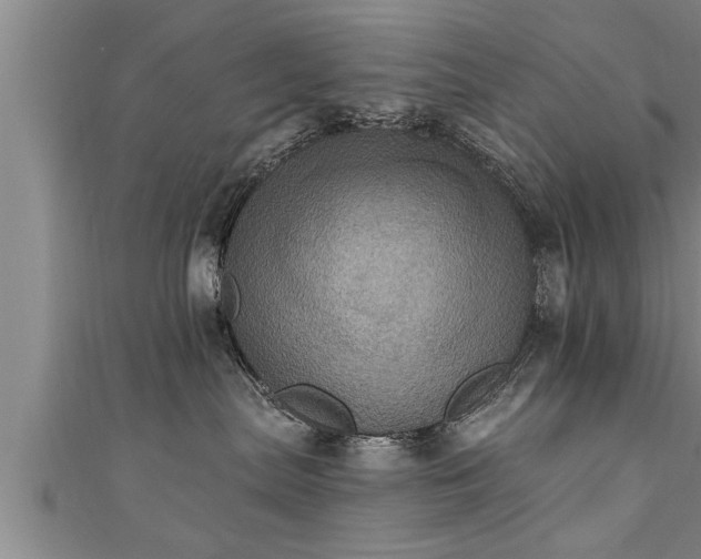X0000111360287200907171210