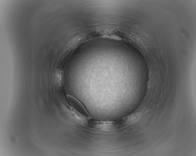 X0000111360288200907171210