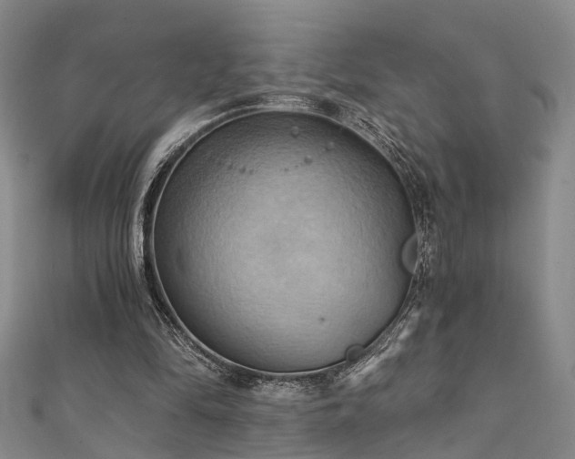 X0000111360294200907171210