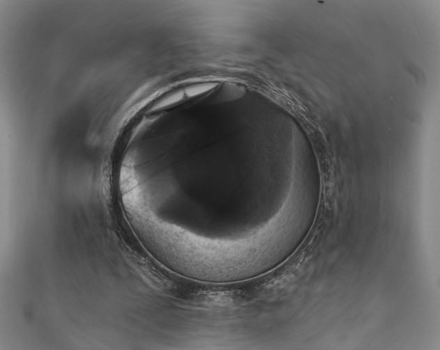 X0000111360295200907171210