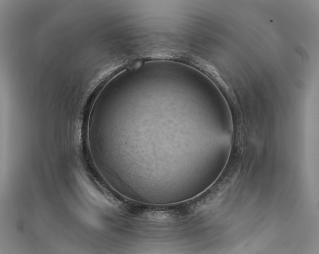 X0000111360299200907171209