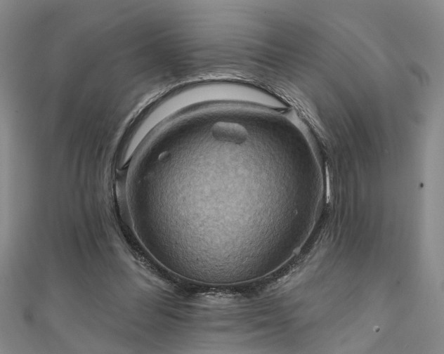 X0000111360300200907171209