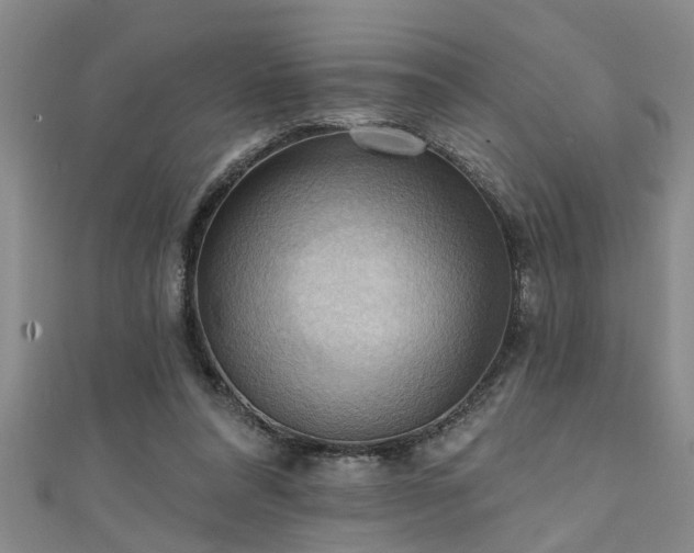 X0000111360304200907171209