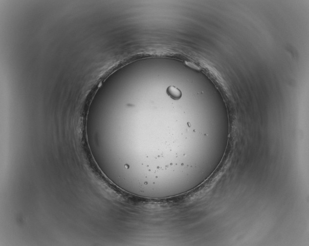 X0000111360305200907171209