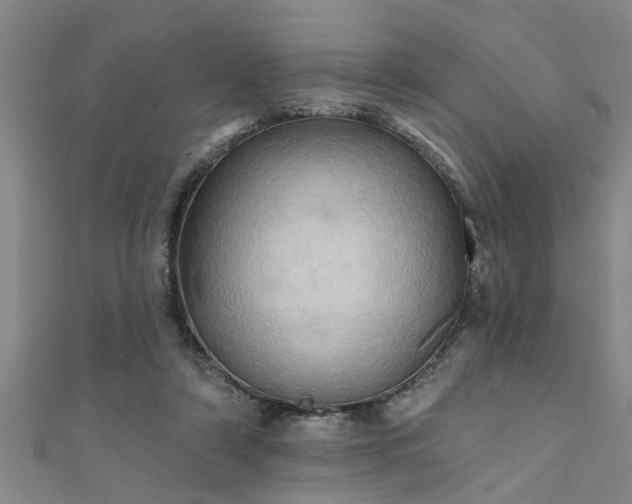 X0000111360306200907171209