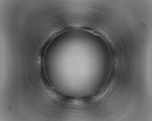 X0000111360308200907171209