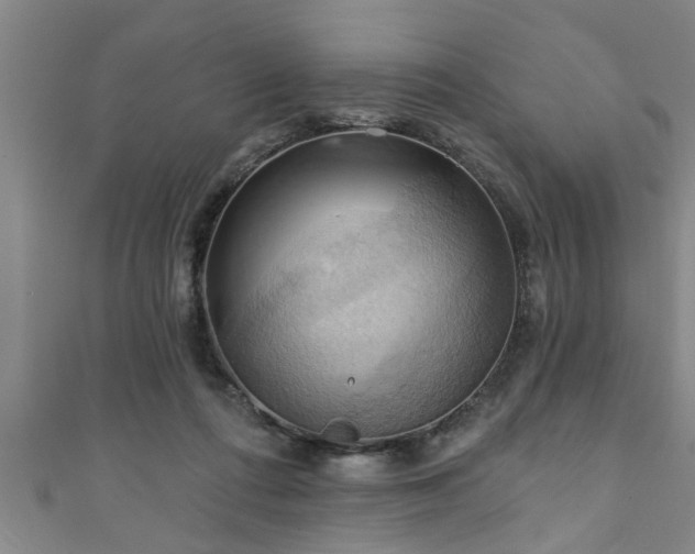 X0000111360312200907171209