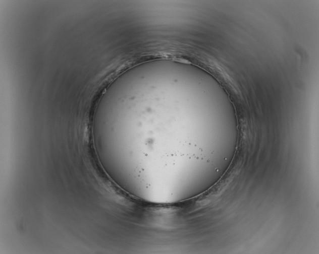 X0000111360313200907171209