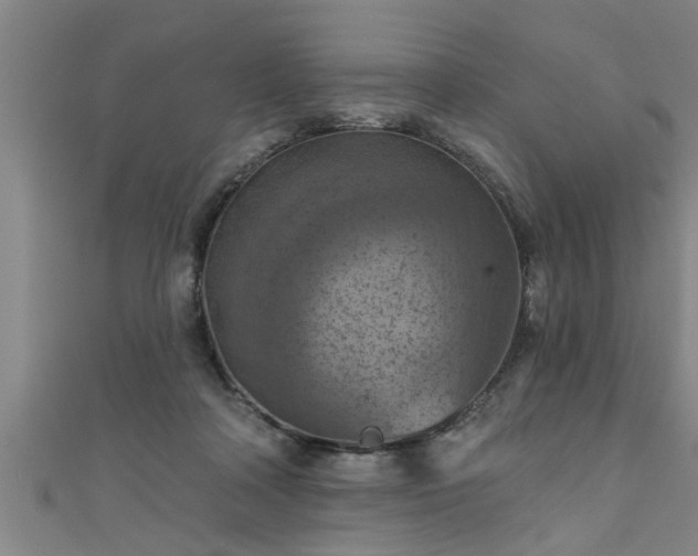 X0000111360314200907171209
