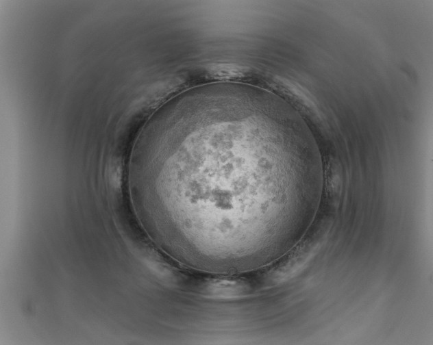 X0000111360315200907171209