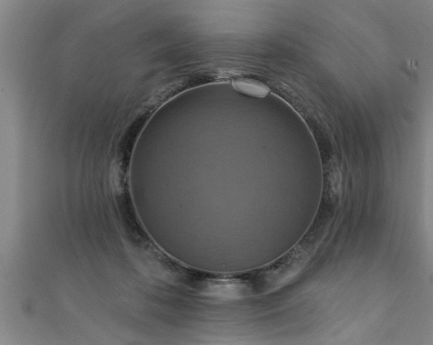 X0000111360316200907171209