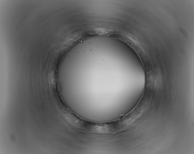 X0000111360317200907171209