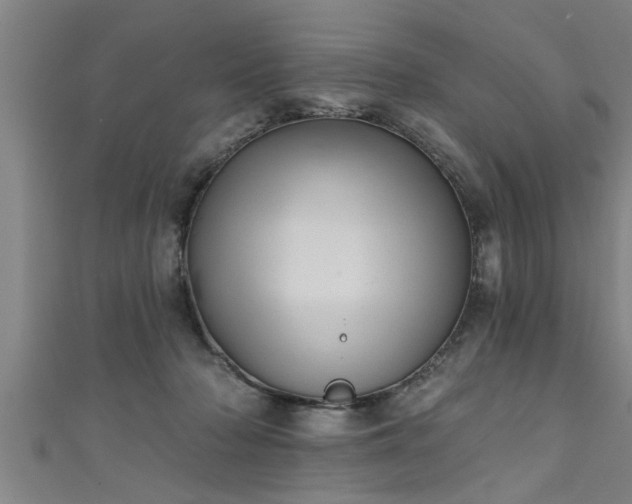 X0000111360318200907171209