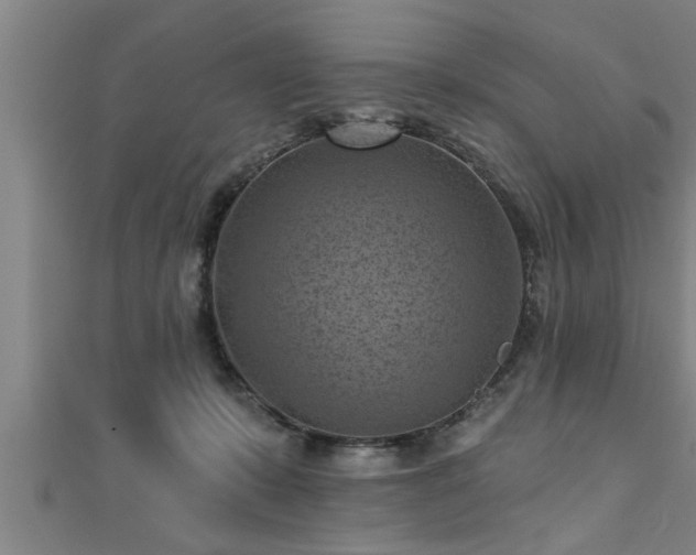 X0000111360319200907171209