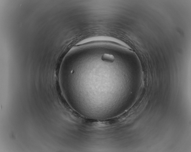 X0000111360320200907171209