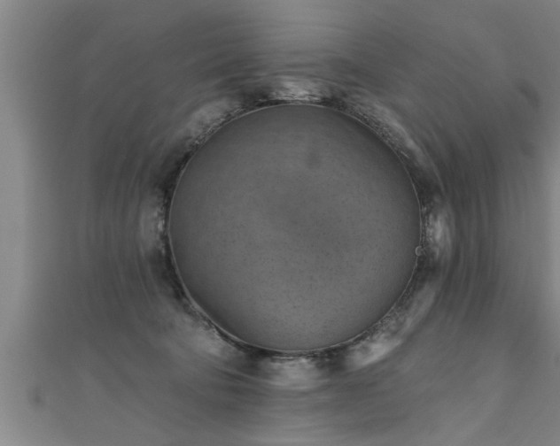 X0000111360322200907171209