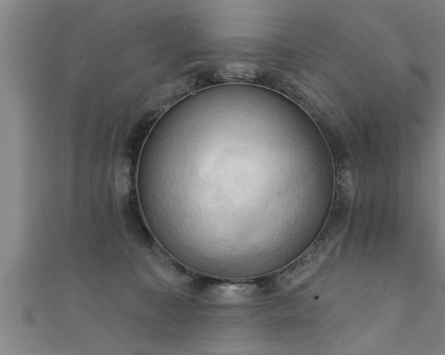 X0000111360323200907171209