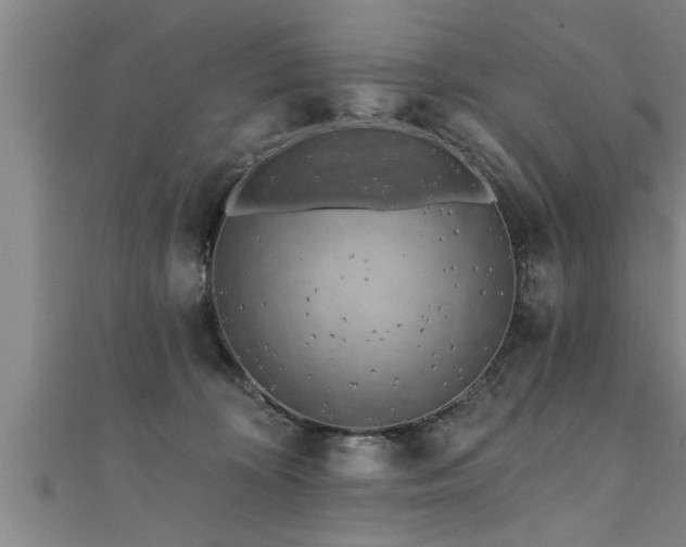 X0000111360324200907171209