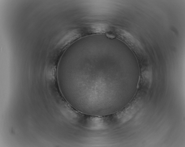 X0000111360325200907171209