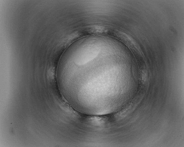 X0000111360326200907171209