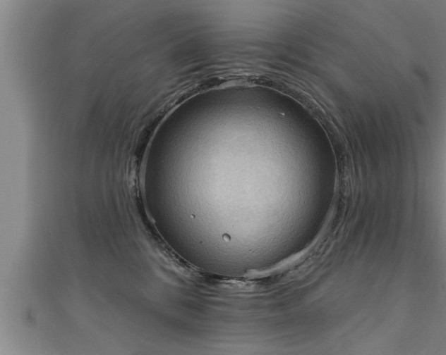X0000111360328200907171209
