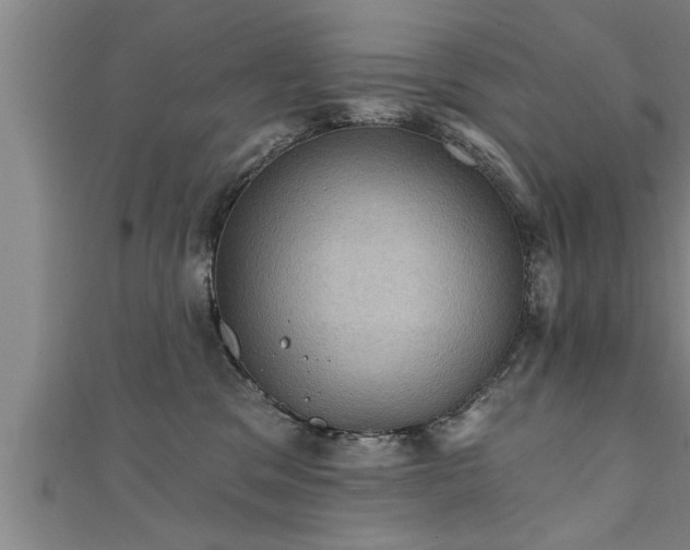 X0000111360329200907171209