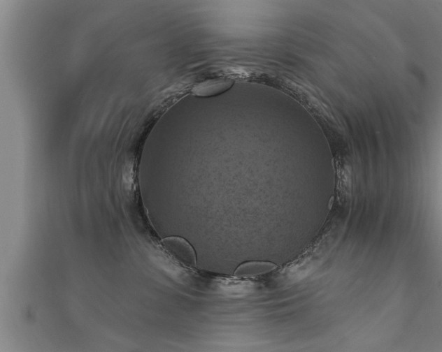 X0000111360331200907171209