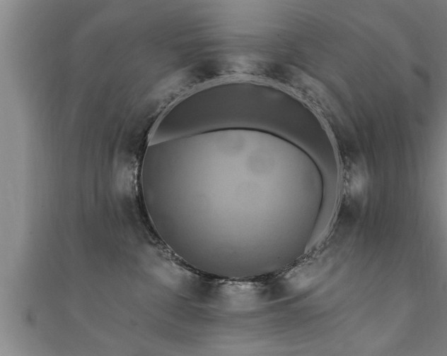 X0000111360332200907171209