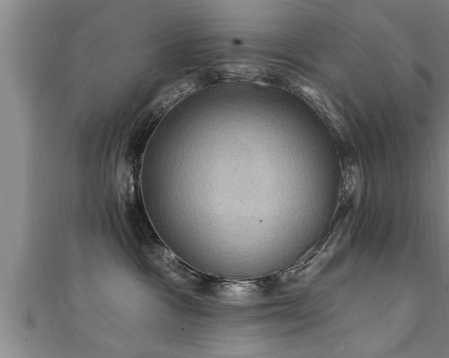 X0000111360333200907171209
