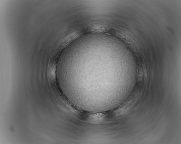 X0000111360334200907171209