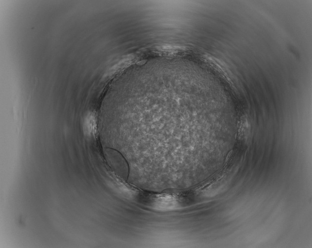 X0000111360335200907171209