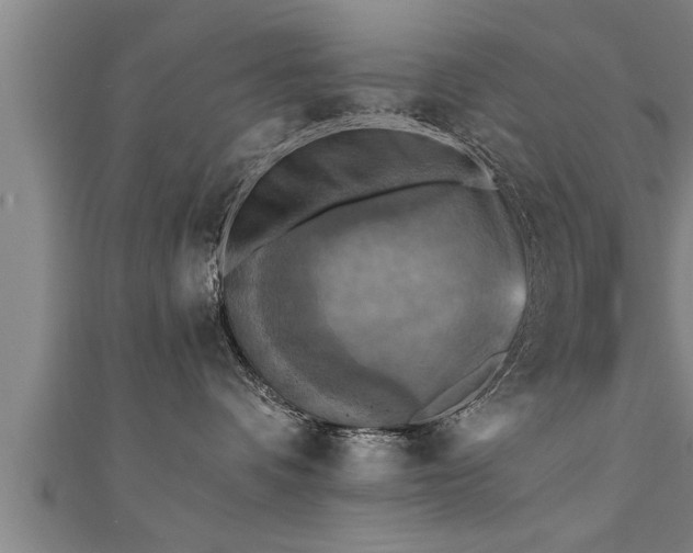 X0000111360336200907171209