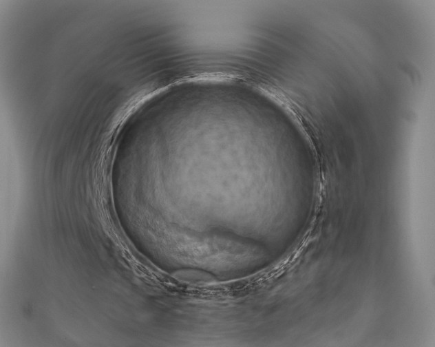 X0000111360337200907171208