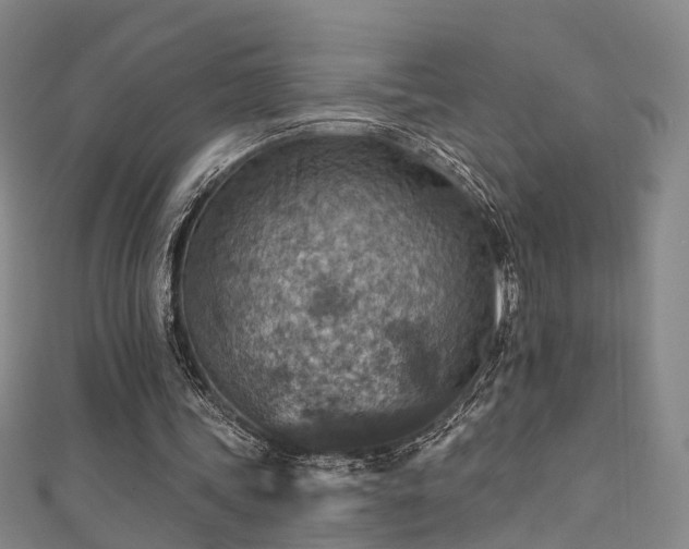 X0000111360339200907171208