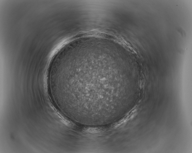X0000111360341200907171208