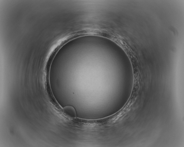 X0000111360342200907171208