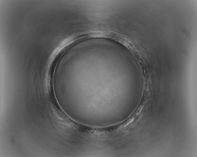 X0000111360343200907171208