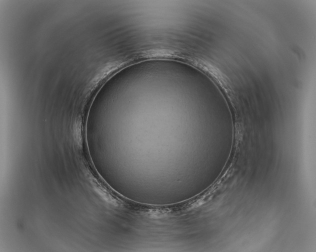 X0000111360345200907171208