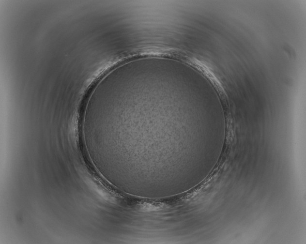 X0000111360346200907171208