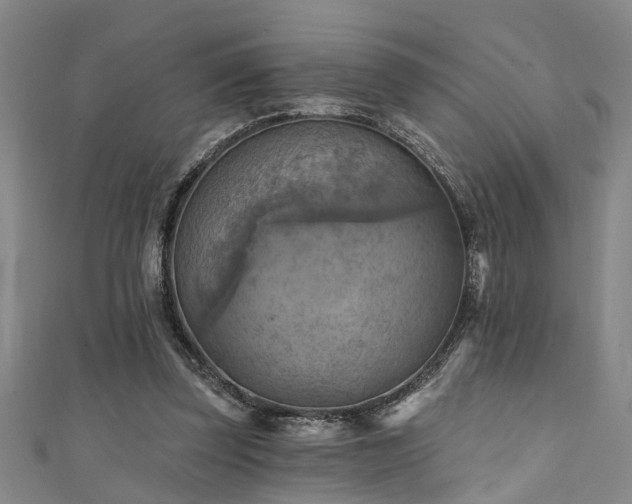 X0000111360347200907171208