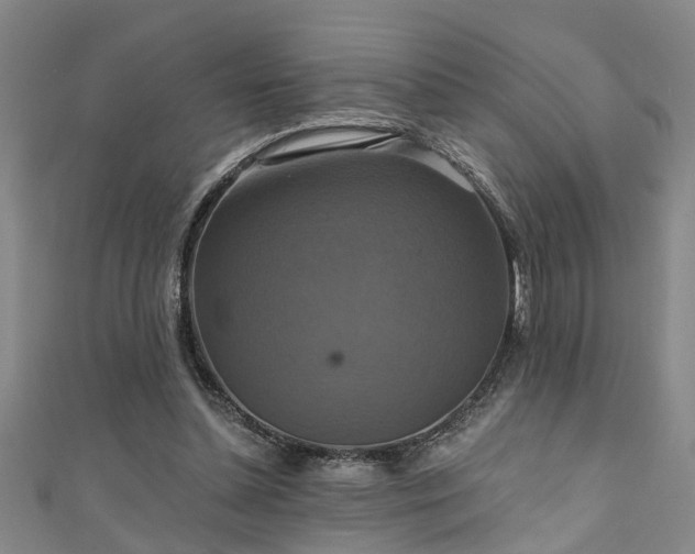 X0000111360348200907171208