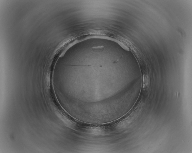 X0000111360349200907171208