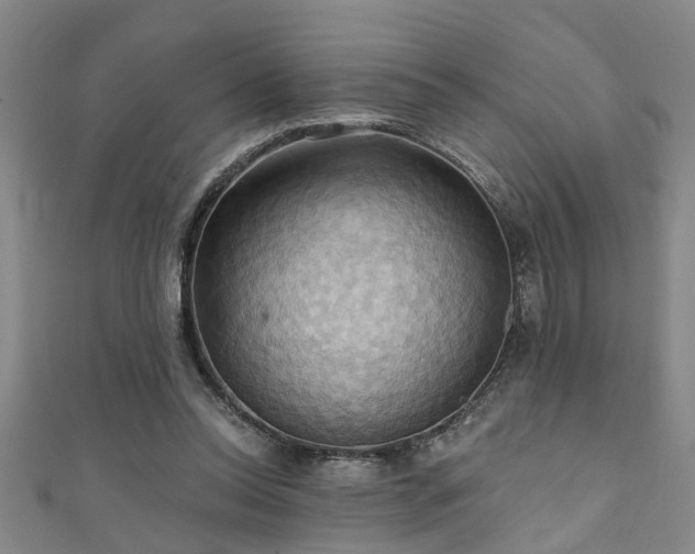 X0000111360350200907171208