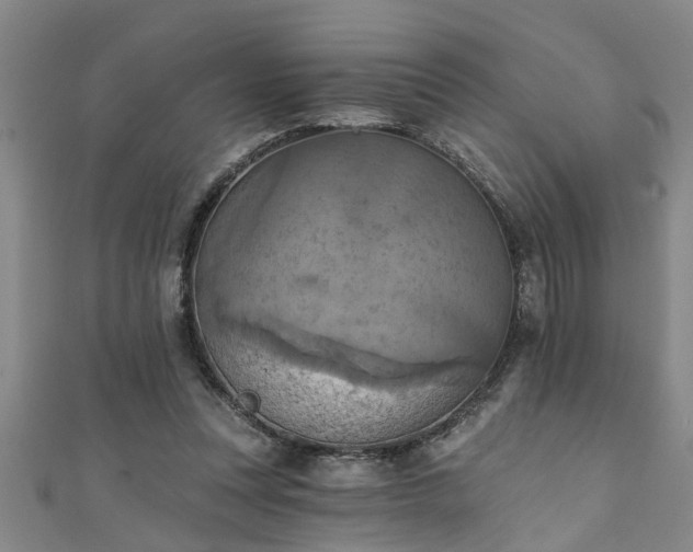 X0000111360351200907171208